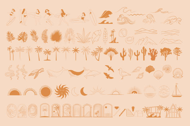 Collection of Summer Sea linear icons Collection of Summer Sea linear symbols, icons design. Sun, sea waves, palm. surfer, sea animals, moon, landscape. Editable Vector Illustration. boho stock illustrations