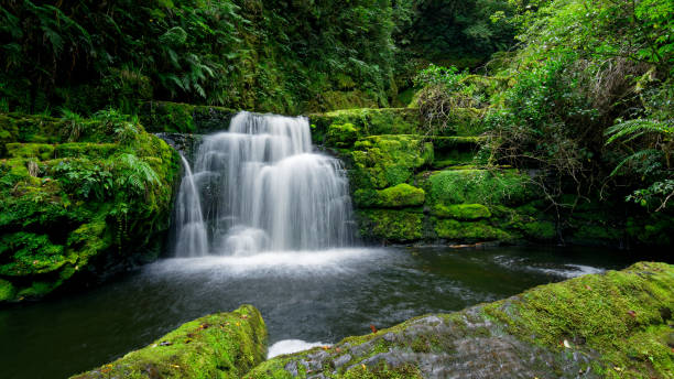 cascate di matai, the catlins, southland, aotearoa / nuova zelanda - the catlins foto e immagini stock