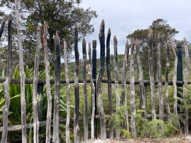 直立した柵のシンプルなフェンスが木製のレールに固定され、ニュージーランドのシダと亜麻の植物が近くに植えられています - new zealand flax ストックフォトと画像