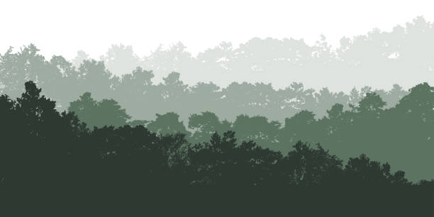 laubwaldhintergrund, natur, schöne landschaft. silhouetten von verschiedenen bäumen mit laub. vektorillustration - wald stock-grafiken, -clipart, -cartoons und -symbole
