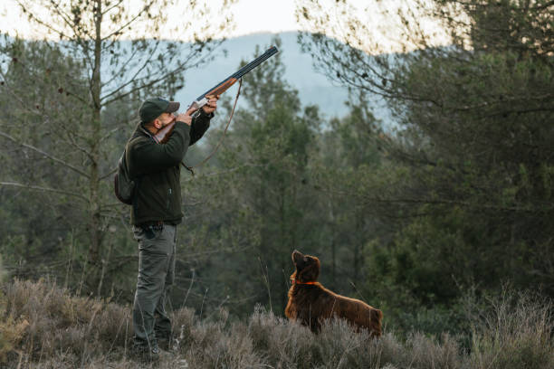 istock Man with rifle hunting in woods with dog 1388529645
