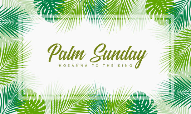 ilustraciones, imágenes clip art, dibujos animados e iconos de stock de domingo de ramos, hosana al rey texto en hojas de plam verde y hojas de monstera alrededor del diseño vectorial del marco - palm leaf leaf palm tree frond