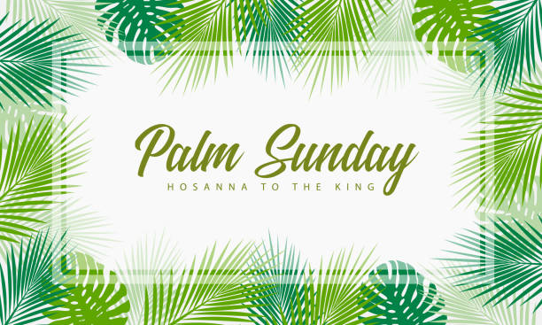 niedziela palmowa, hosana do tekstu króla w zielonych liściach plam i liściach monstera wokół ramki wektorowej - palm leaf leaf palm tree frond stock illustrations