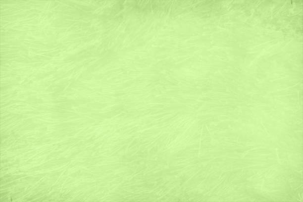 leere leere pastellfarbene helle limetten- oder apfelgrün gefärbte grunge strukturierte, zerkratzte, abgewetzte vektorhintergründe mit kratzern überall - green backgrounds textured dirty stock-grafiken, -clipart, -cartoons und -symbole