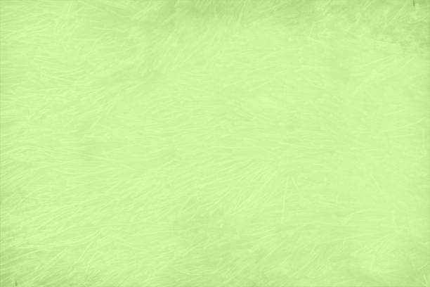 пустой пустой пастельный светлый лайм или яблочный зеленый цвет гранж текстурированный поцарапанный потертый векторный фон с царапинами � - green backgrounds textured dirty stock illustrations