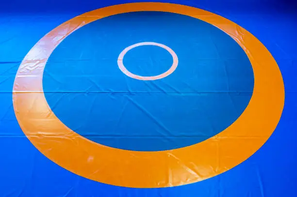 wrestling mat with marked fighting area in detail