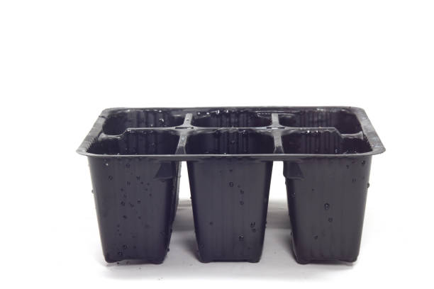 istock trays for garden plants 1388532137