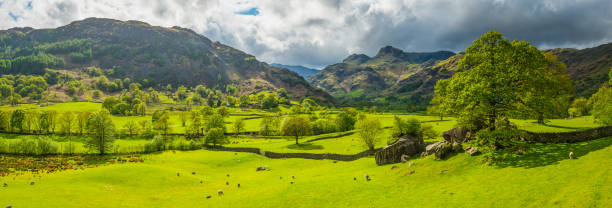 Lake District Langdale Pikes mountain fells idyllic green valley panorama Golden light of sunrise filling the green mountain valleys high in the Lake District National Park overlooked by the iconic rocky summits of the Langdale Pikes and Bow Fell towards Coniston and Windermere, Cumbria, UK. langdale pikes stock pictures, royalty-free photos & images