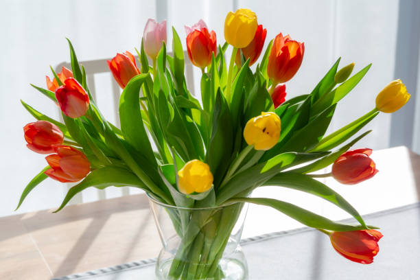 istock Bouquet of spring tulips on the dining room table 1388533492