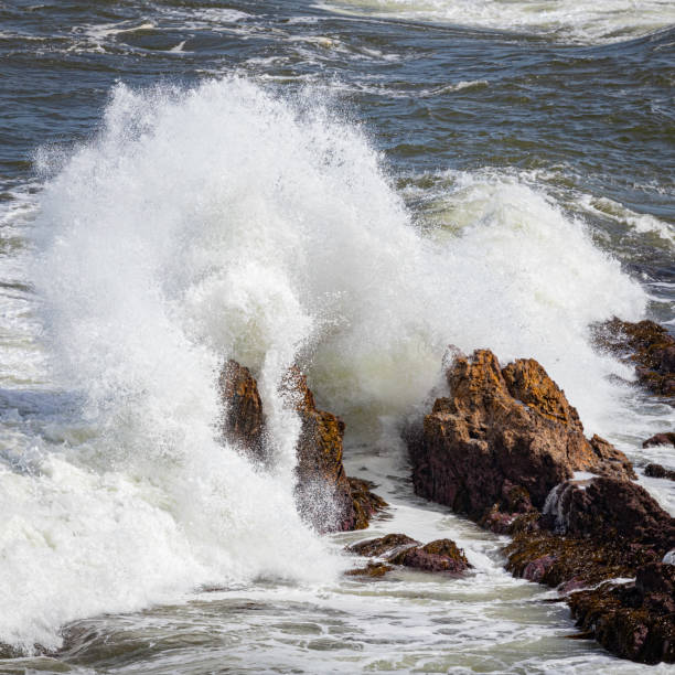 волна разбивается о скалы на пляже томакин, томакин, новый южный уэльс, март 2022 года - tomakin стоковые фото и изображения
