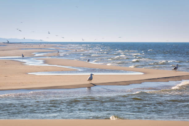 레바의 발트 해 해변의 아름다운 풍경. 폴란드 - pomerania 뉴스 사진 이미지