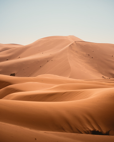 Dunas de arena en Sahara photo
