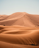 istock Sand Dunes in Sahara 1388533753