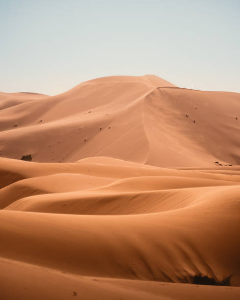 Sand Dunes in Sahara Merzouga sand dune stock pictures, royalty-free photos & images