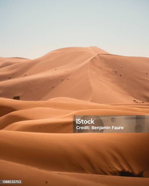 Sand Dunes In Sahara Stock Photo - Download Image Now - Sand Dune, Desert Oasis, Landscape - Scenery