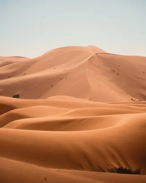 Photo of Sand Dunes in Sahara