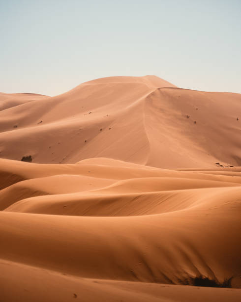 dunas de areia do deserto do saara - sand dune - fotografias e filmes do acervo