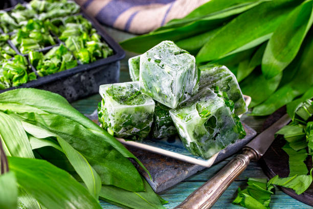 Freeze wild garlic Freeze wild garlic in ice cube trays ramson stock pictures, royalty-free photos & images