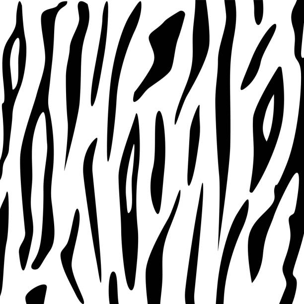 istock Animal skin texture tiger. Chaotic spots tiger skin. Black and white tiger texture 1388534801