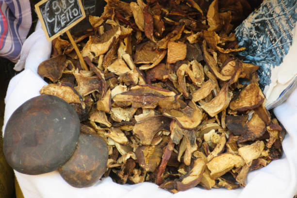sale market various mushrooms