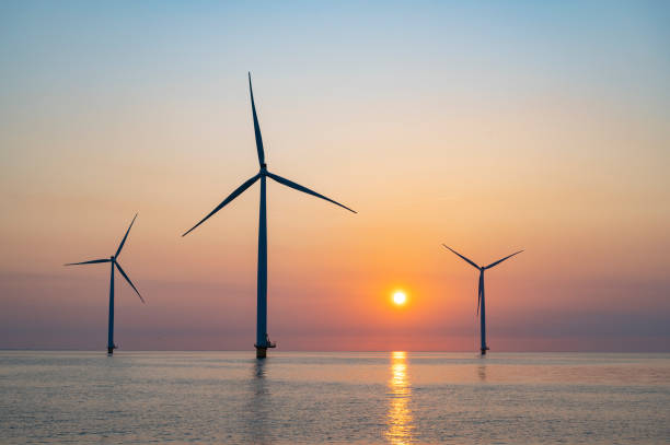 istock Wind turbines in an offshore wind park producing electricity during sunset. 1388539885
