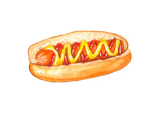 illustrations, cliparts, dessins animés et icônes de hot-dog. illustration à l’aquarelle dessinée à la main - hotdogging
