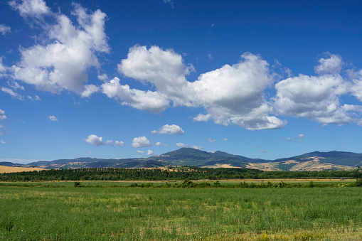 Rural landscape along the Cassia road near Acquapendente, Viterbo province, Lazio, Italy, at summer