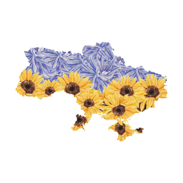 aquarell ukraine karte mit narzissen, sonnenblumen, schmetterlingen. stehen sie an der seite der ukraine, beten sie für das konzept der ukraine. für grußkarten, patriotische flyer, t-shirt-drucke, aufkleber, verpackungen, banner, einladungen - daffodil flower silhouette butterfly stock-grafiken, -clipart, -cartoons und -symbole