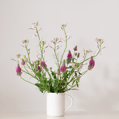 Bunch of wildflowers, vase, still life on white wall background. Gentle minimalist bouquet, simple home decor.