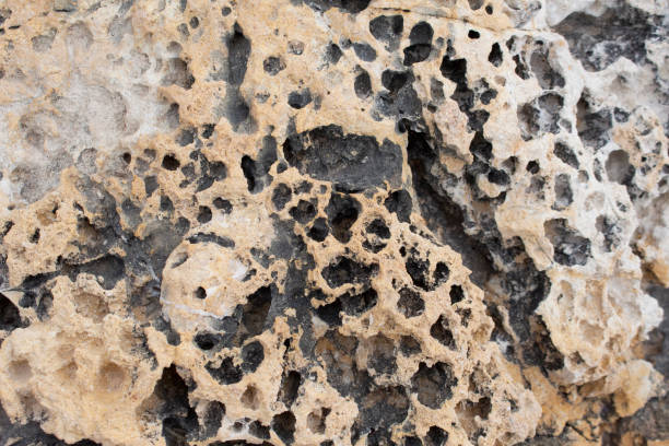 istock beige background natural stone with cracks macro view 1388548875