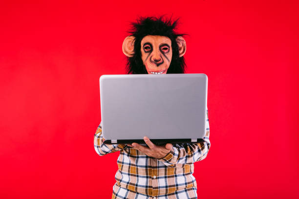 Man with chimpanzee monkey mask and plaid shirt, working with laptop, on red background. stock photo