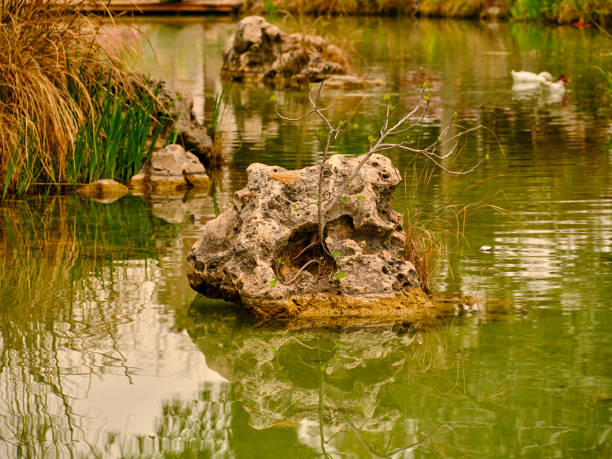 istock a beautiful lake in nature and the reflections on it 1388555230