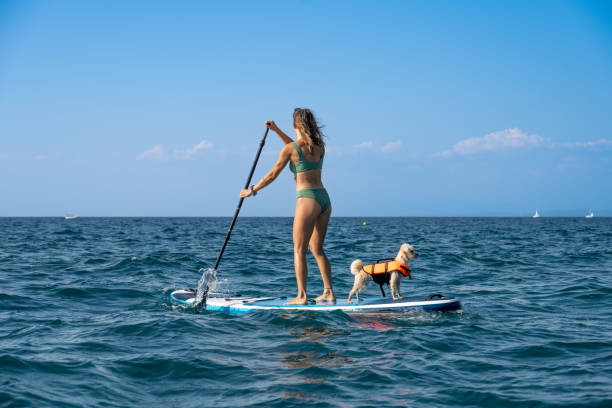 istock Woman standing on paddle board in sea. 1388555492