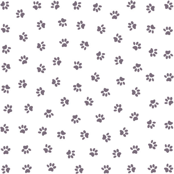 ilustraciones, imágenes clip art, dibujos animados e iconos de stock de huella de perro delineada sin costuras, huella de gato sin costuras, huella de pata de animal sin costuras - cat paw print