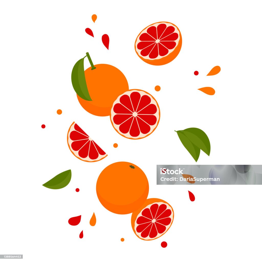Falling Fruit R Vector Falling Red Grapefruits Vector Illustration Fruit Levitation Stock ...
