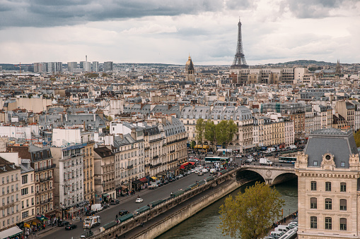 View from the Notre Dame de Paris to Parisian residential buildings and Eiffel Tower. Seine river, cloudy sky. Travelling to Paris. Wanderlust.