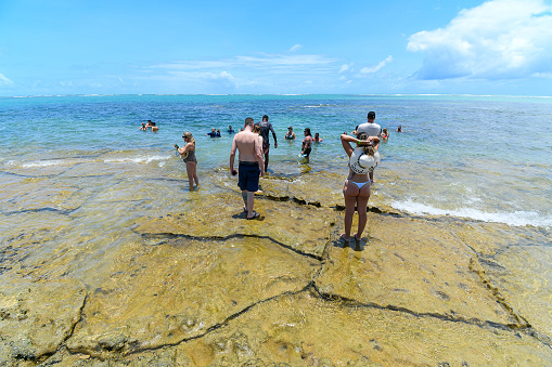 Tamandare, PE, Brazil - October 18, 2021: tourists in the natural pools on the reefs of Praia dos Carneiros beach.
