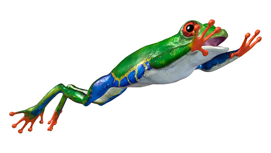 Renderizado 3D de Amazon Tree Frog en blanco photo