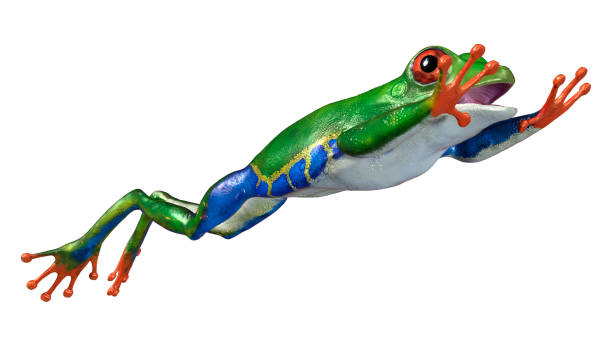 rendering 3d di amazon tree frog su bianco - red frog foto e immagini stock