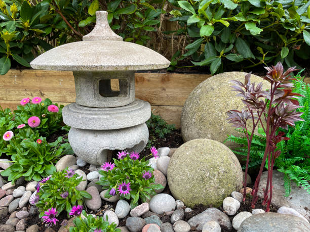 Close-up image of small round granite stone Japanese lantern in Springtime oriental garden surrounded by pink flowering Bellis perennis Bellissima (English Daisy) plants, boulders and pebbles, focus on foreground stock photo