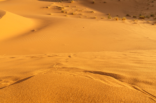 Sand dunes in the desert. detail of sand dunes
