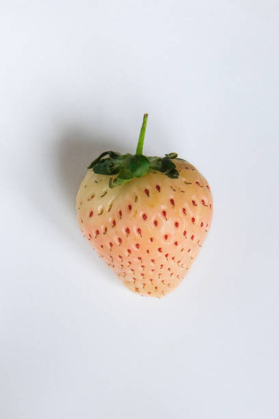 istock White-pink strawberry,  or pineberry 1388579110
