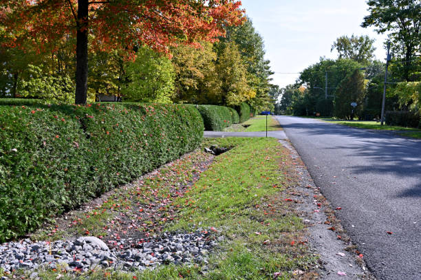 istock Autumn Colors at the Edge of 1388580453