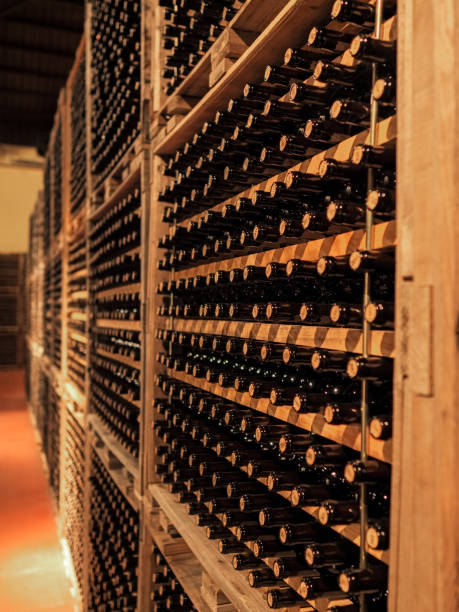 와인 공장의 지하실에 병을 저장 - vertical wine bottle variation rack 뉴스 사진 이미지