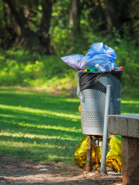 istock Waste in a full garbage can in a public park 1388582770