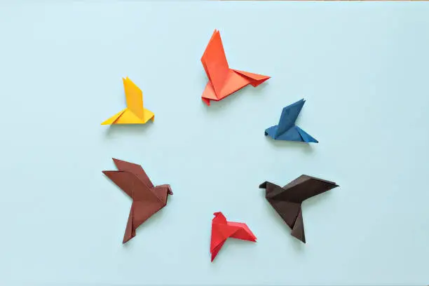 Photo of six paper origami pigeons different colors on light blue background