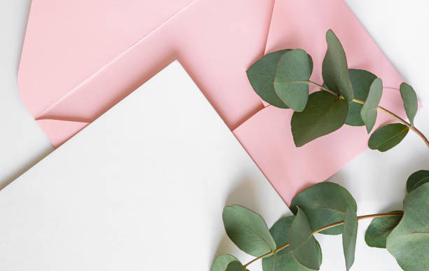 istock eucalyptus branch and pink envelope with copy space 1388585641