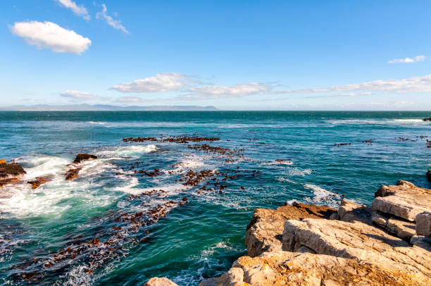 Walker Bay View of Walker Bay from Gearing’s Point, Hermanus, South Africa hermanus stock pictures, royalty-free photos & images