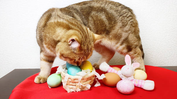 istock Ginger cat looking at colorful Easter eggs. Happy Easter holiday concept 1388587729