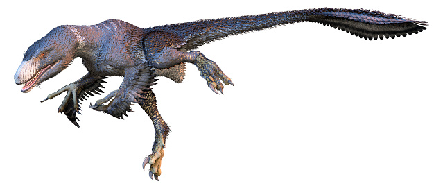 3D rendering of a dinosur Dakotaraptor isolated on white background